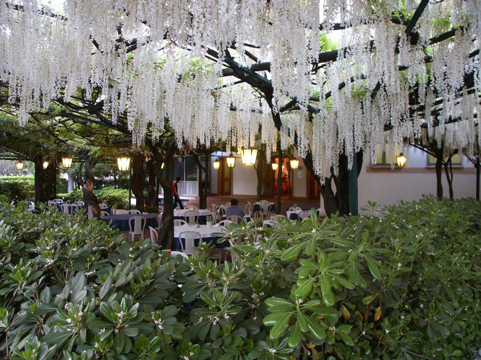 Albergo Ristorante Papa Пескьера-дель-Гарда Экстерьер фото